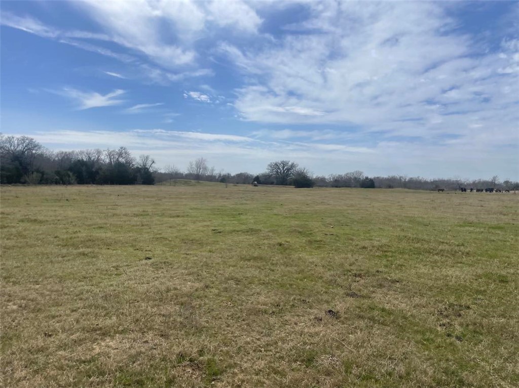 264 Lcr 822 Road, Groesbeck, Texas image 33