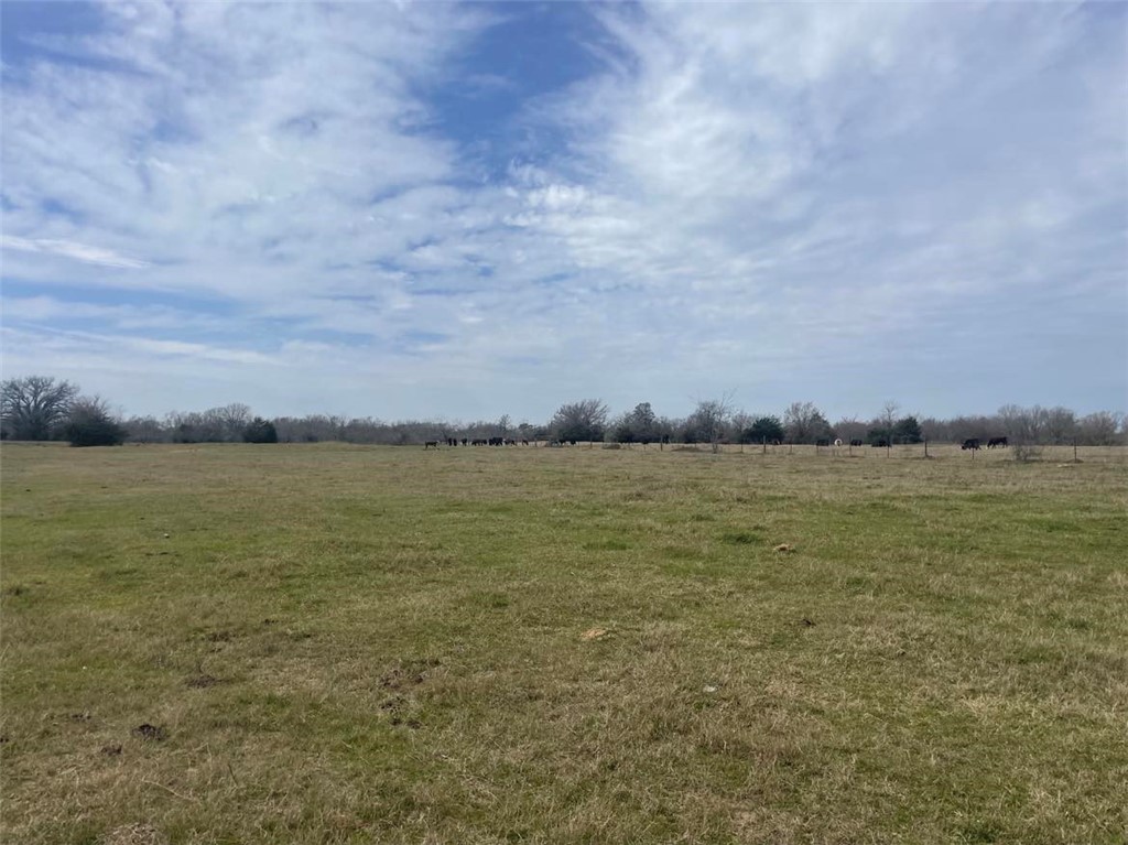 264 Lcr 822 Road, Groesbeck, Texas image 32