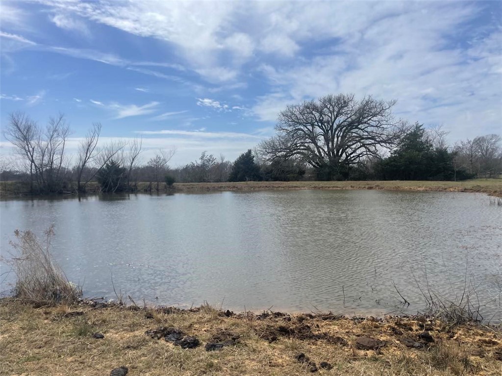 264 Lcr 822 Road, Groesbeck, Texas image 36