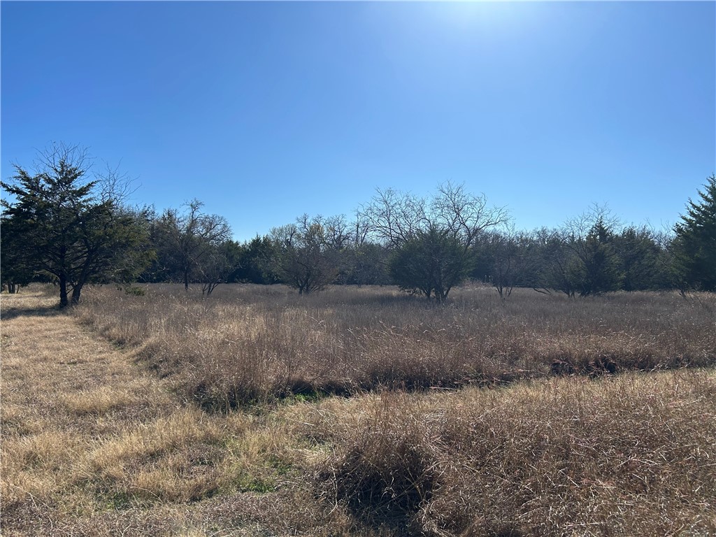 16664 NW County Road 3120 Road, Purdon, Texas image 13