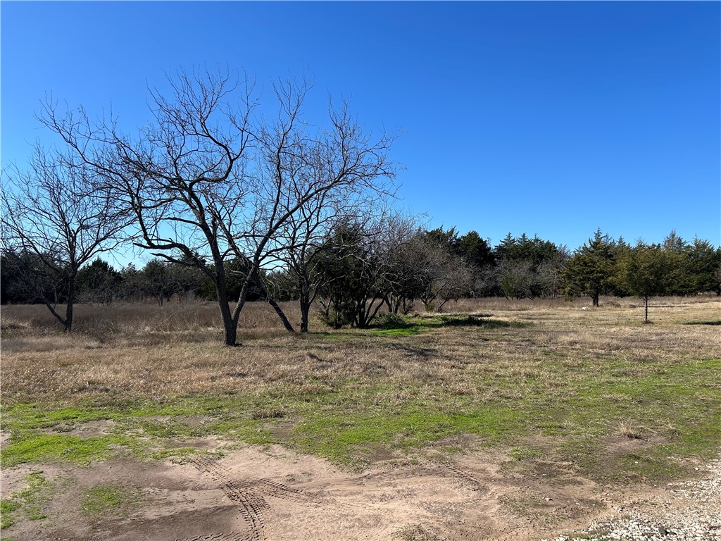 16664 NW County Road 3120 Road, Purdon, Texas image 9