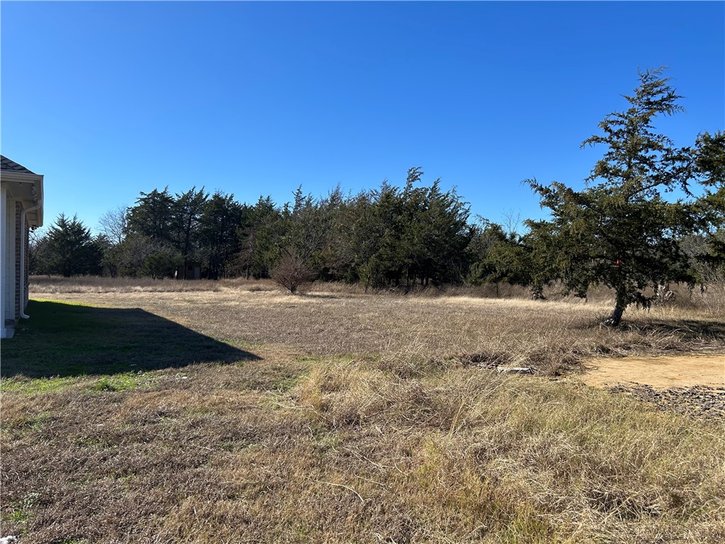 16664 NW County Road 3120 Road, Purdon, Texas image 5