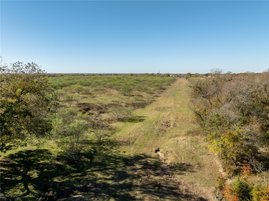 8604 W Lake Creek Road, Riesel, Texas image 14