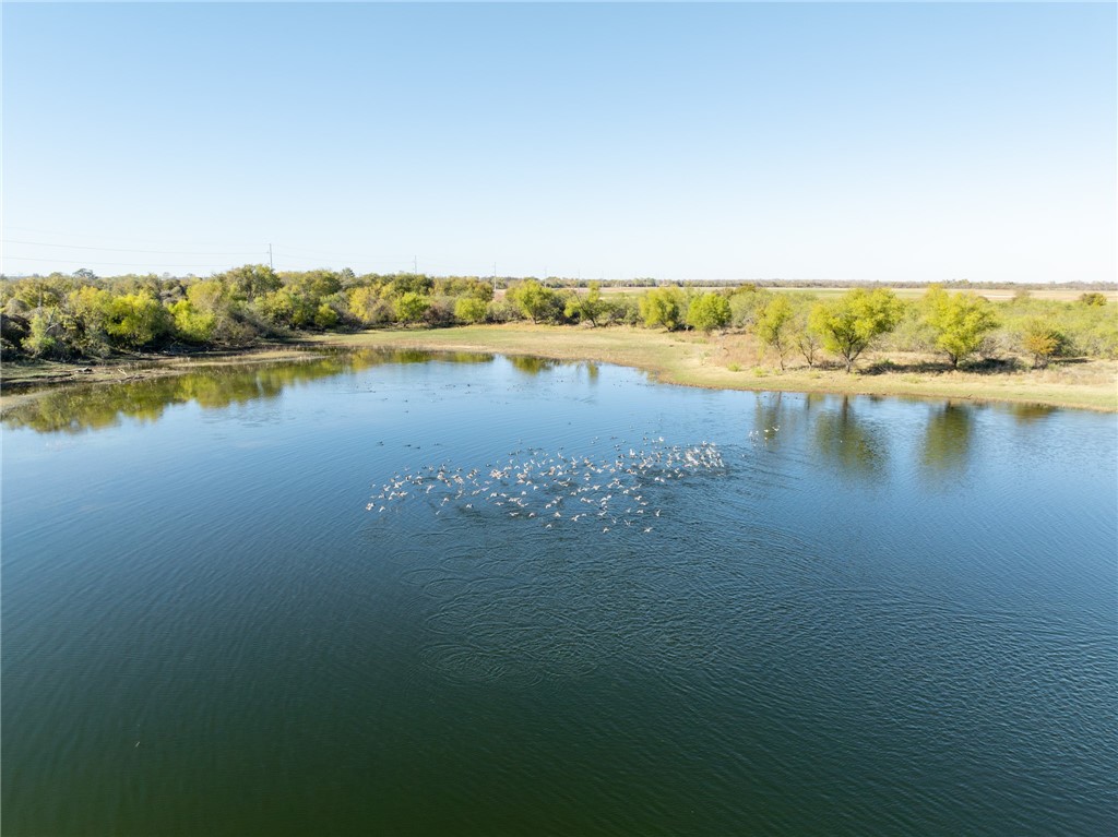 8604 W Lake Creek Road, Riesel, Texas image 48