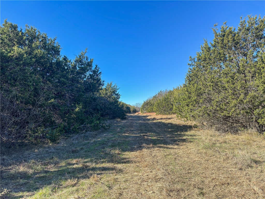 TBD Tract 2 Talbert Ranch Road, China Spring, Texas image 37