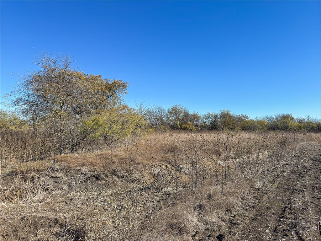 TBD Tract 2 Talbert Ranch Road, China Spring, Texas image 41