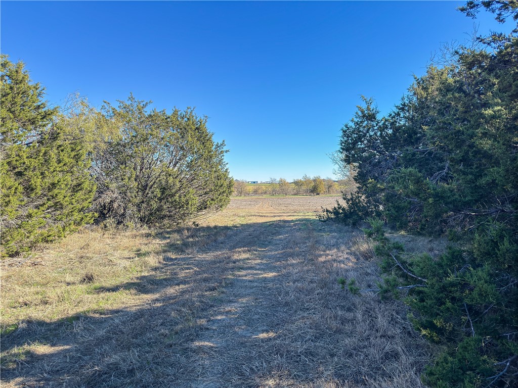 TBD Tract 2 Talbert Ranch Road, China Spring, Texas image 39