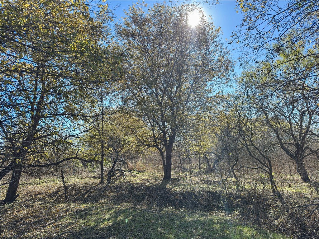 TBD Tract 2 Talbert Ranch Road, China Spring, Texas image 47