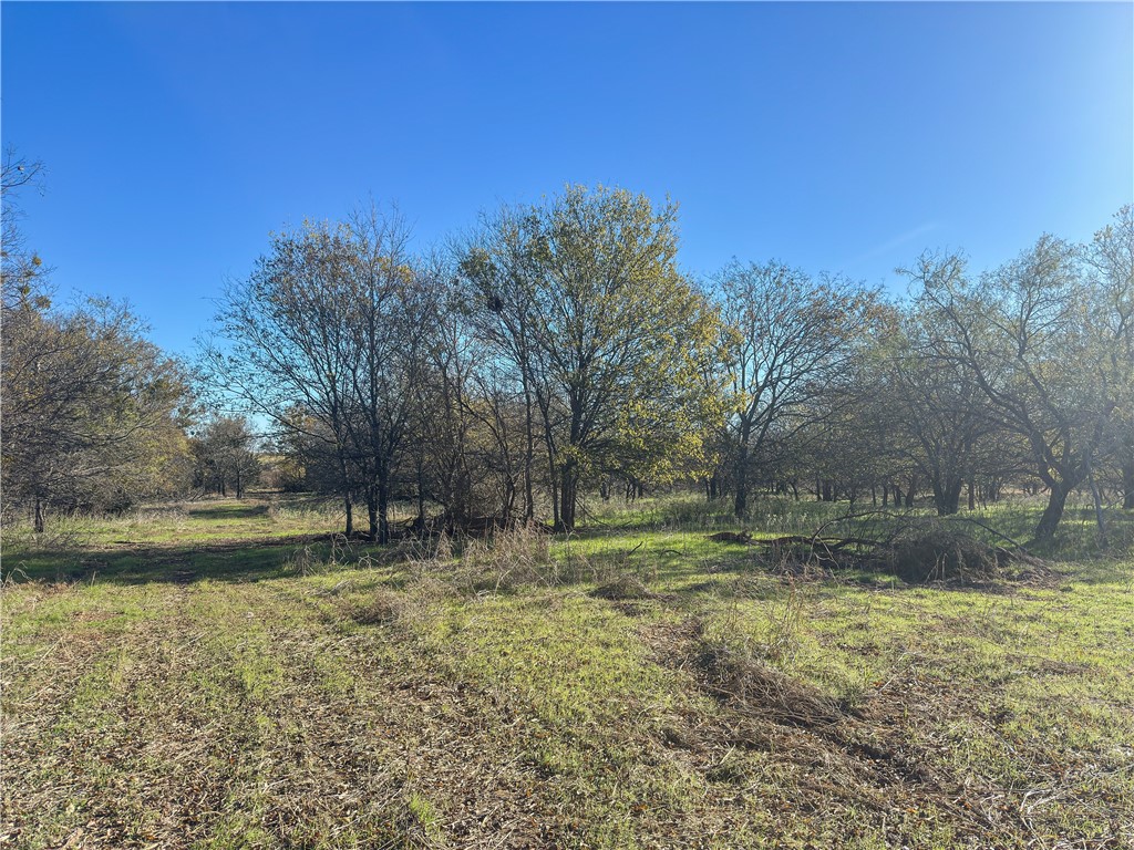 TBD Tract 2 Talbert Ranch Road, China Spring, Texas image 34