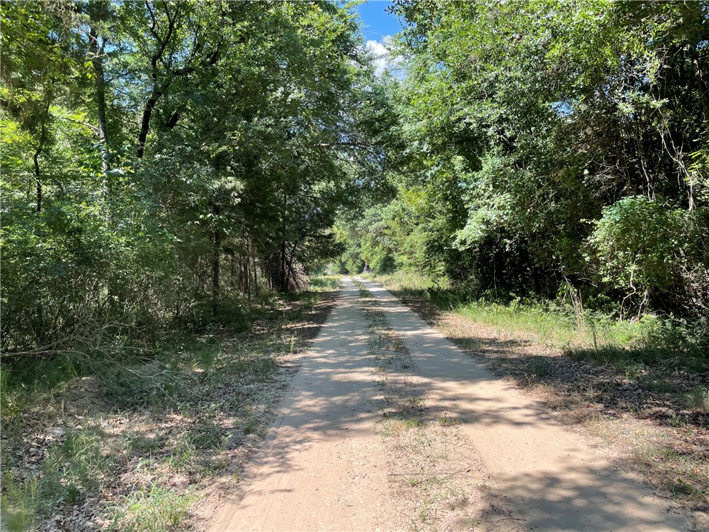 TBD Pr 5793b Road, Groesbeck, Texas image 43