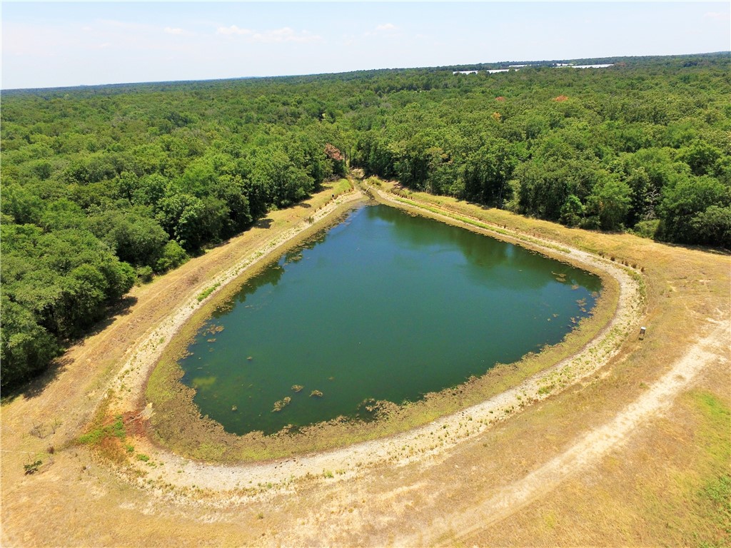 TBD Pr 5793b Road, Groesbeck, Texas image 12