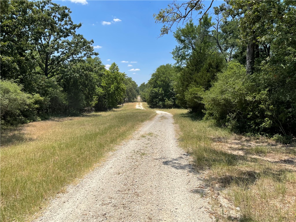 TBD Pr 5793b Road, Groesbeck, Texas image 42