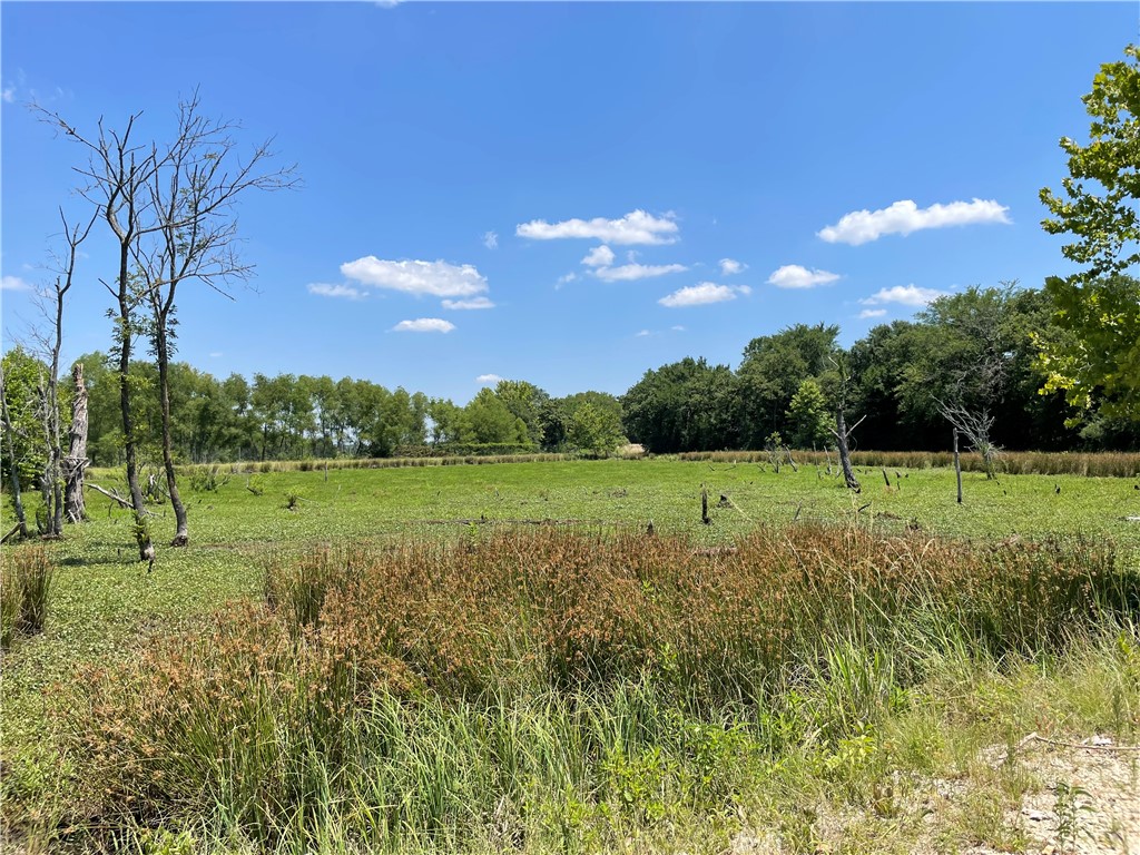 TBD Pr 5793b Road, Groesbeck, Texas image 17