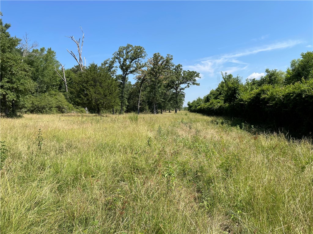 TBD Pr 5793b Road, Groesbeck, Texas image 28