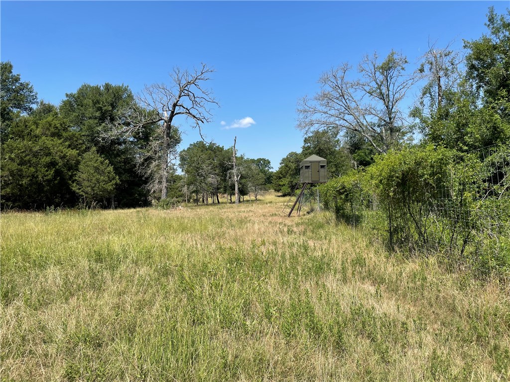 TBD Pr 5793b Road, Groesbeck, Texas image 31