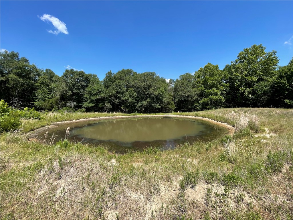 TBD Pr 5793b Road, Groesbeck, Texas image 16