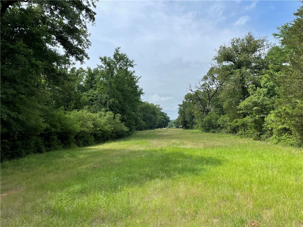 TBD Pr 5793b Road, Groesbeck, Texas image 24