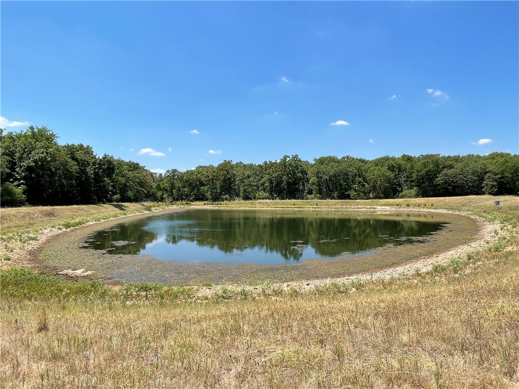 TBD Pr 5793b Road, Groesbeck, Texas image 13