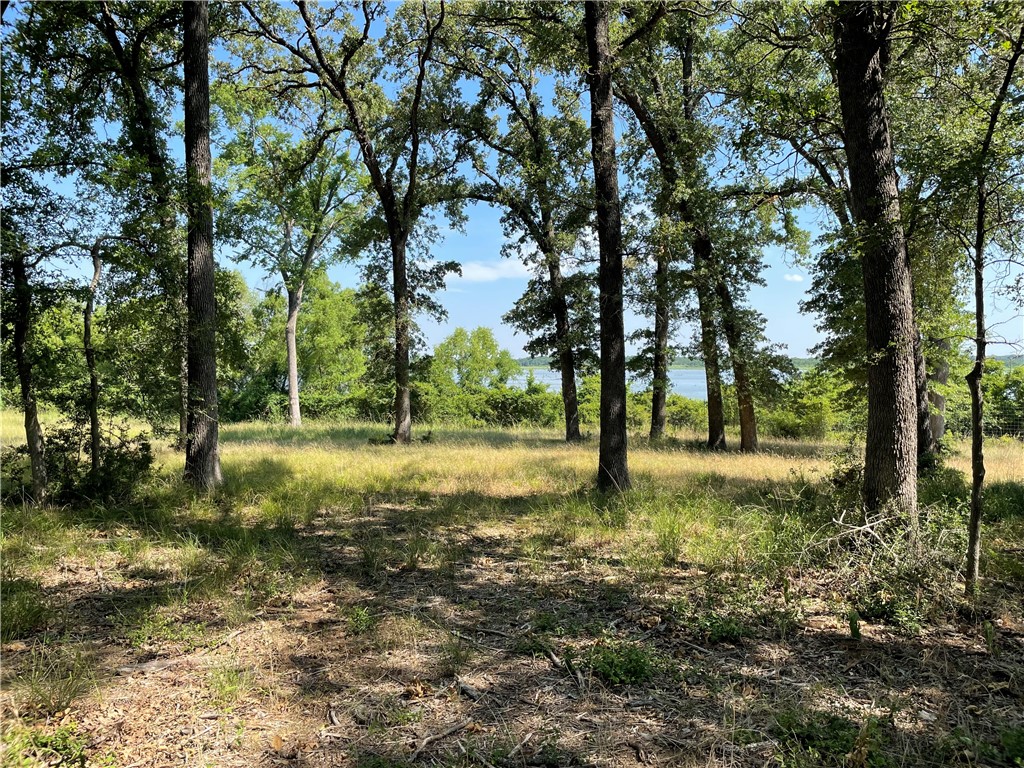 TBD Pr 5793b Road, Groesbeck, Texas image 30