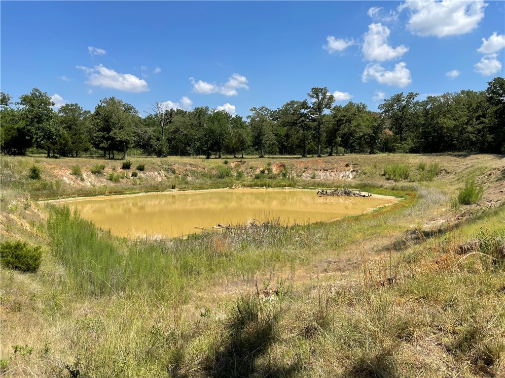 TBD Pr 5793b Road, Groesbeck, Texas image 14