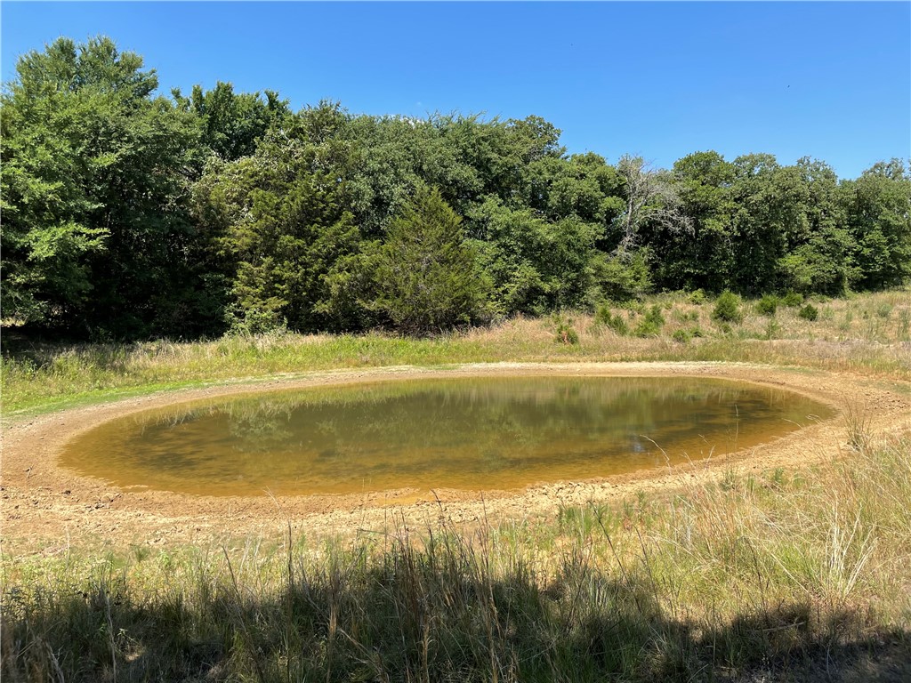 TBD Pr 5793b Road, Groesbeck, Texas image 15