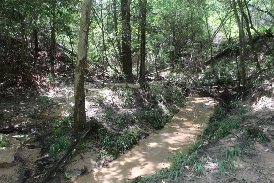 Rolling Hills Road, Navasota, Texas image 16