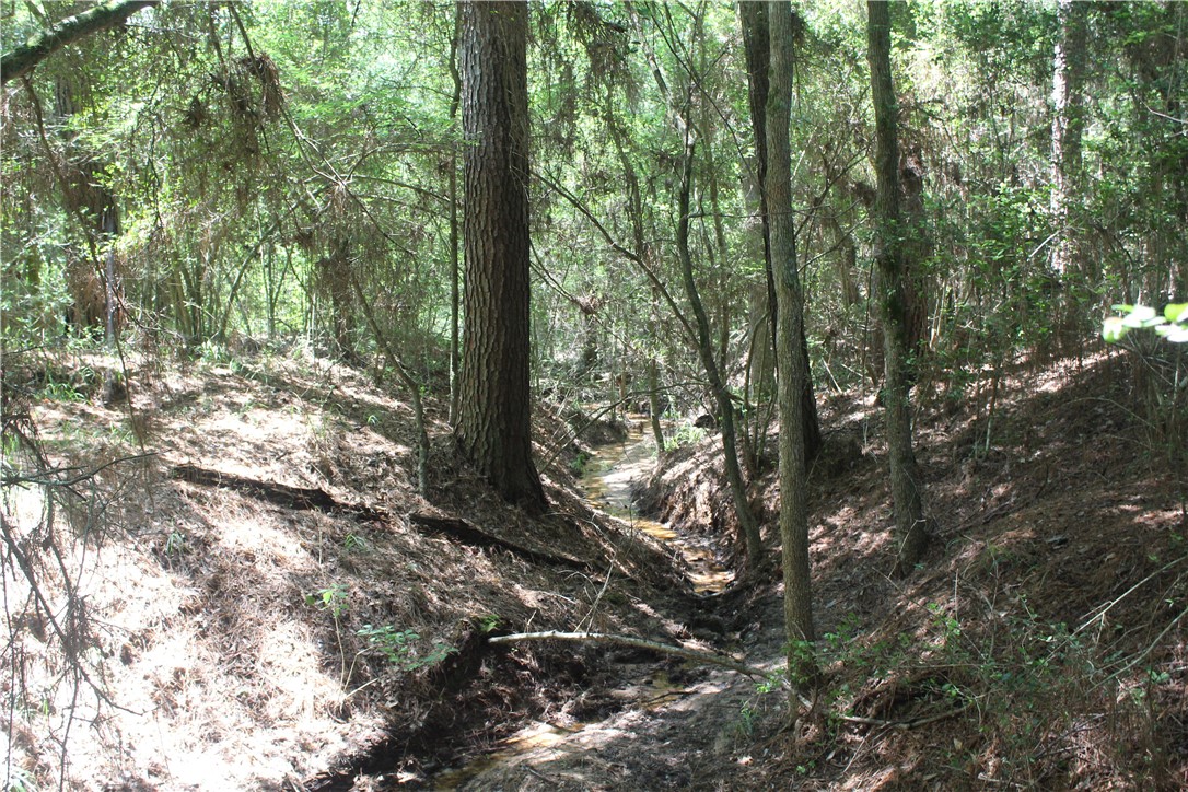 Rolling Hills Road, Navasota, Texas image 4