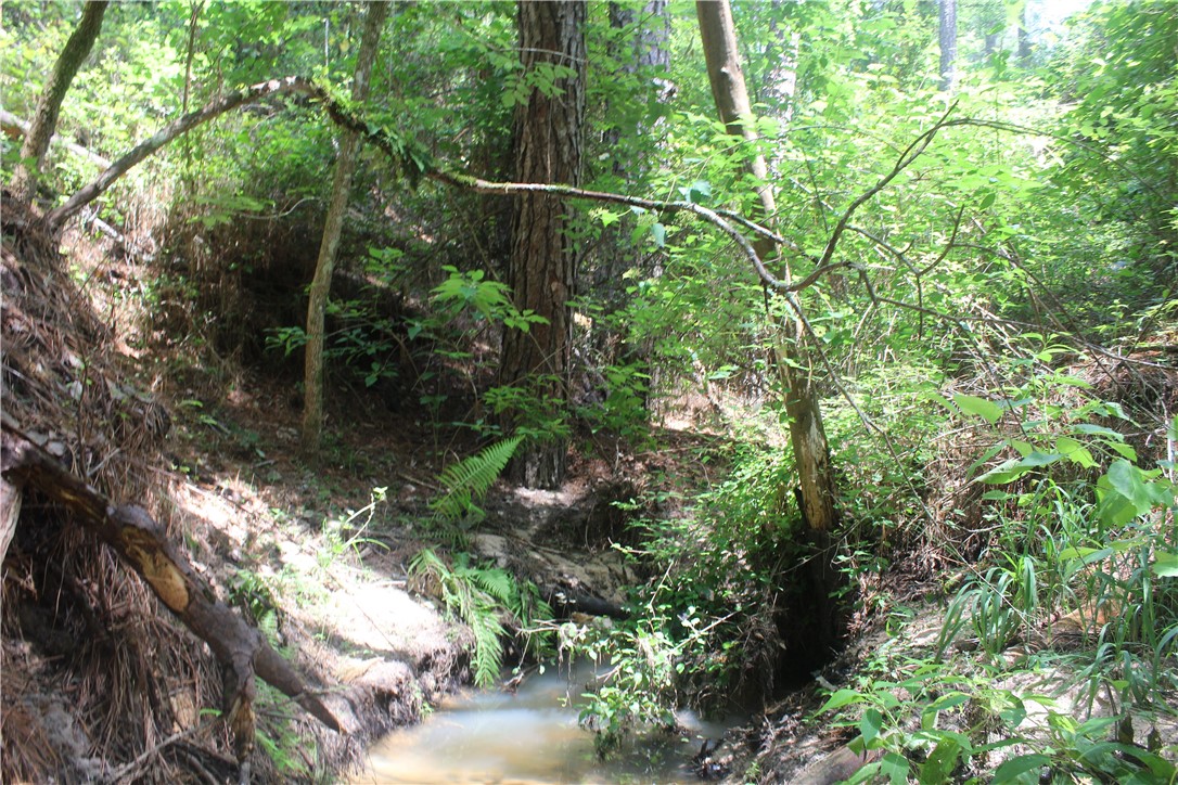 Rolling Hills Road, Navasota, Texas image 14