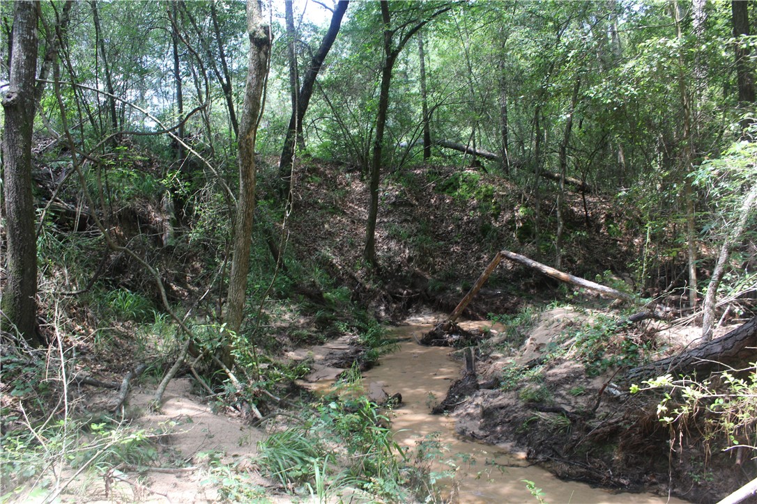 Rolling Hills Road, Navasota, Texas image 15