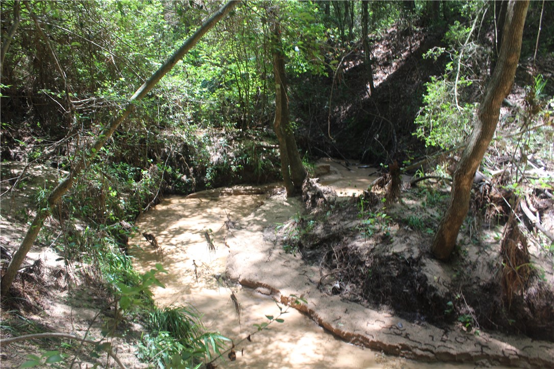 Rolling Hills Road, Navasota, Texas image 12