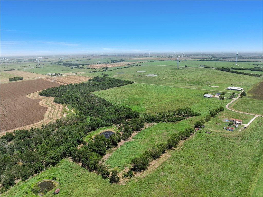 TBD Calvery Eskew Road, Mart, Texas image 1