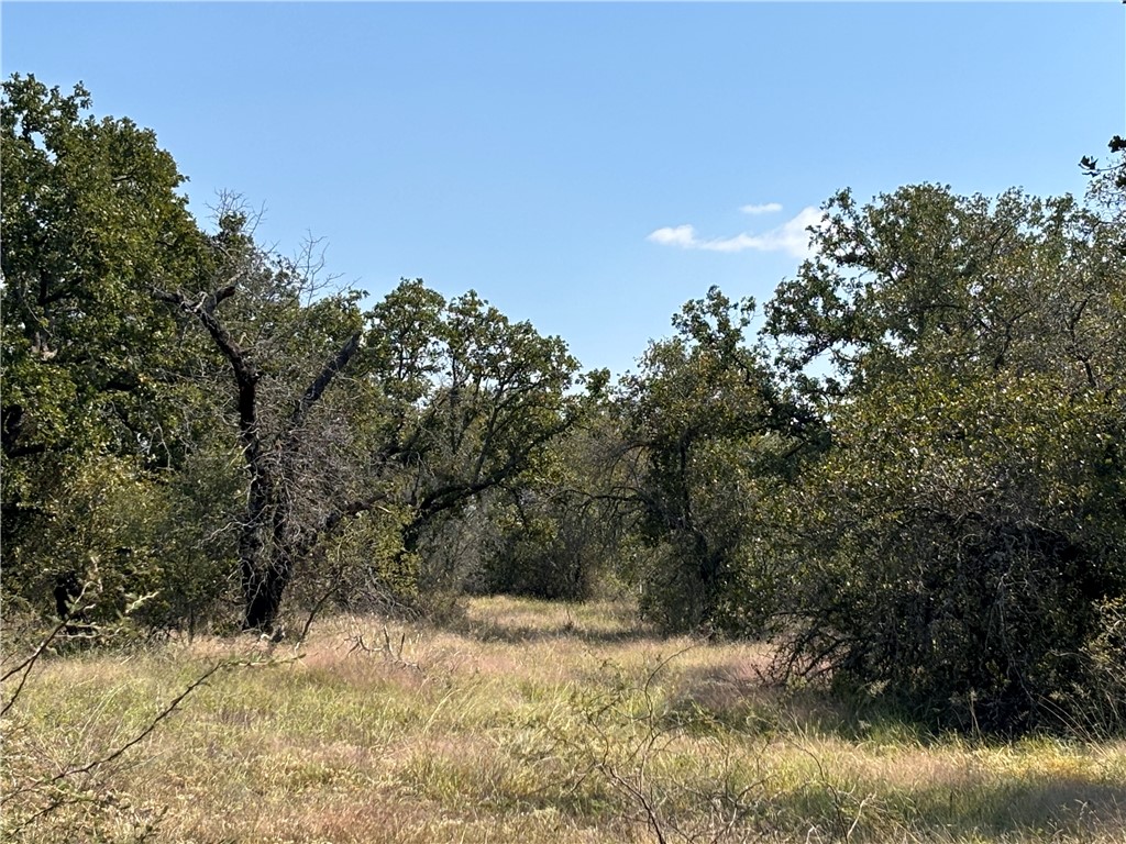 1603 Cr 253 Road, Richland Springs, Texas image 4