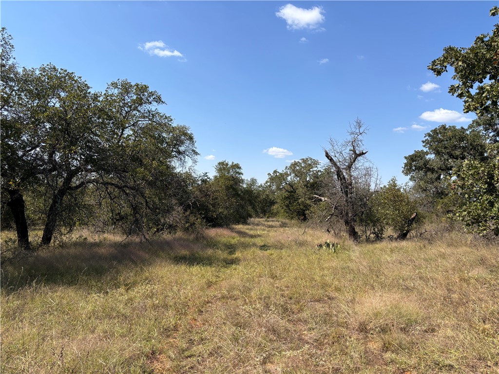 1603 Cr 253 Road, Richland Springs, Texas image 6