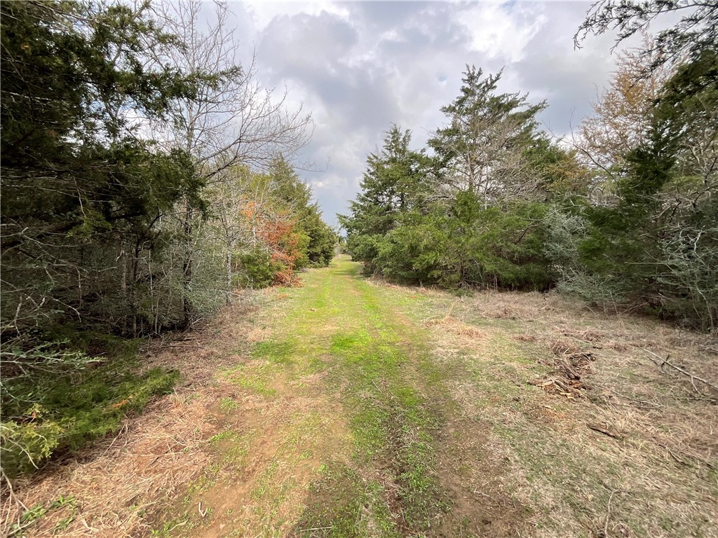 TBD Lcr 701, Kosse, Texas image 11