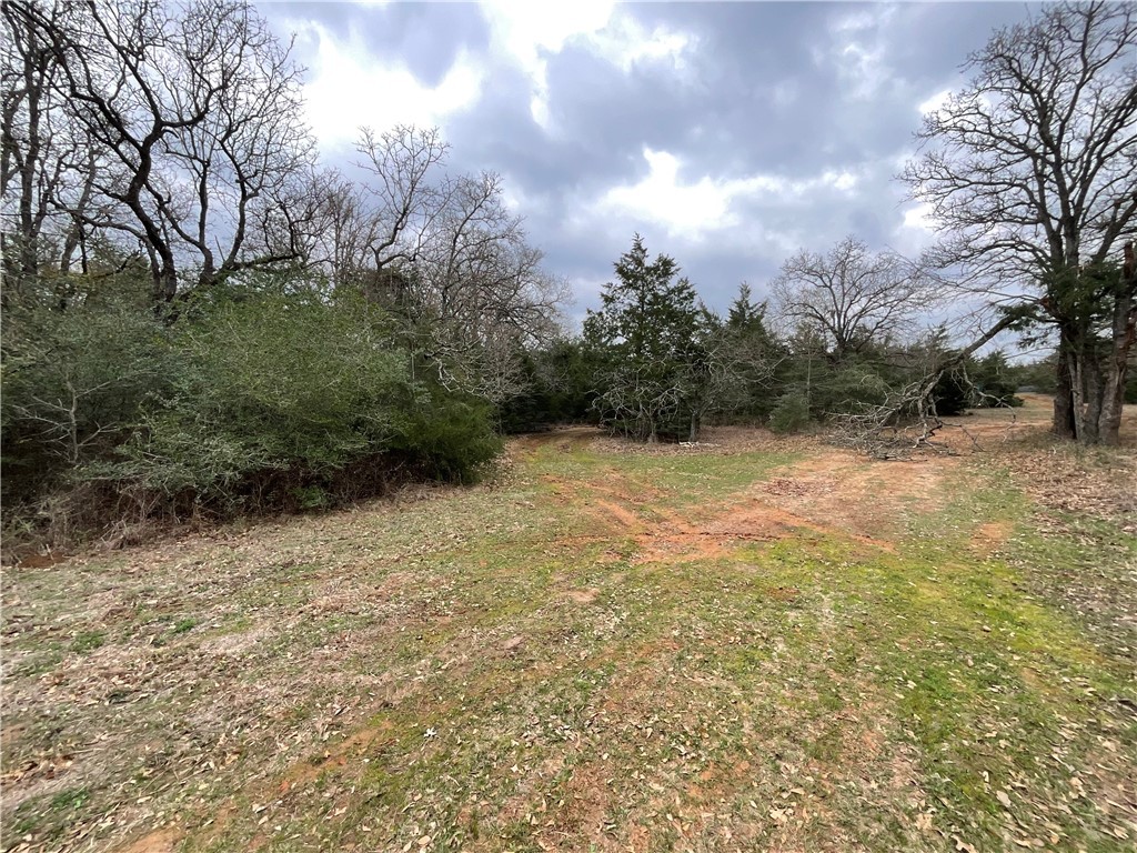 TBD Lcr 701, Kosse, Texas image 10