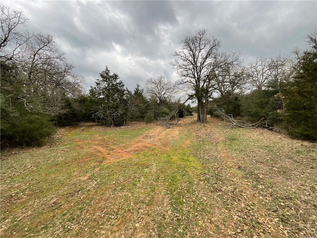 TBD Lcr 701, Kosse, Texas image 9