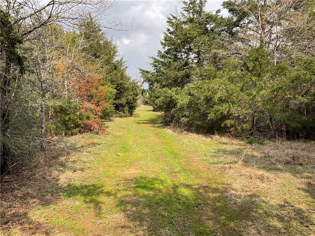 TBD Lcr 701, Kosse, Texas image 5