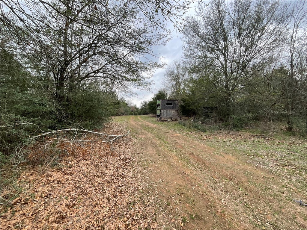 TBD Lcr 701, Kosse, Texas image 6