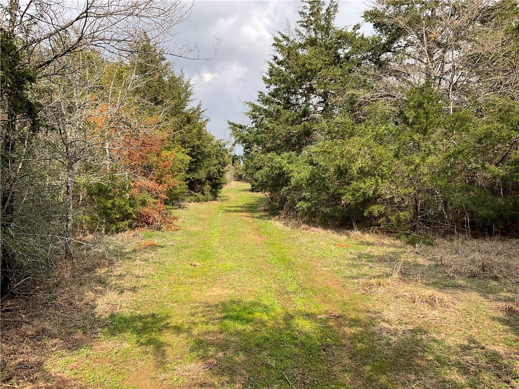 TBD Lcr 701, Kosse, Texas image 4