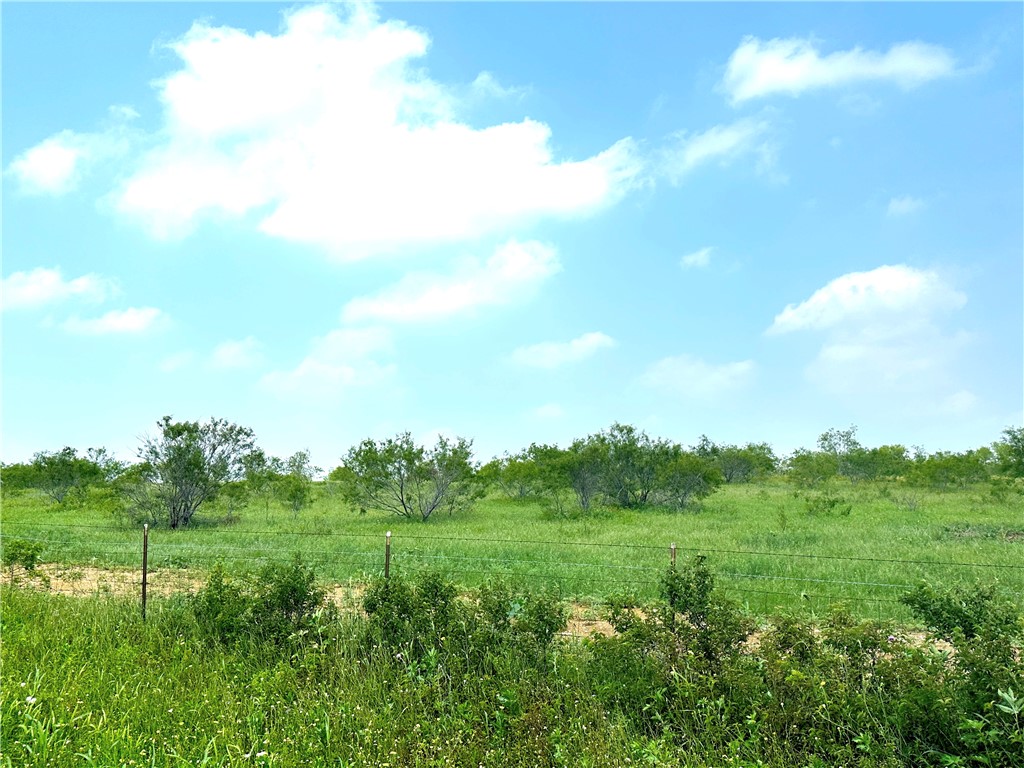 TRACT 6 Tower Drive, Moody, Texas image 8