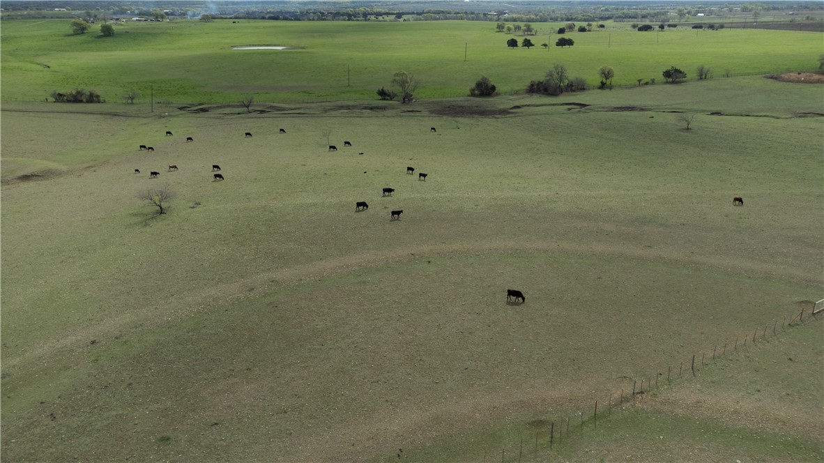 TBD Old Perry Loop, McGregor, Texas image 22