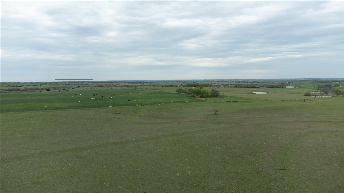 TBD Old Perry Loop, McGregor, Texas image 6