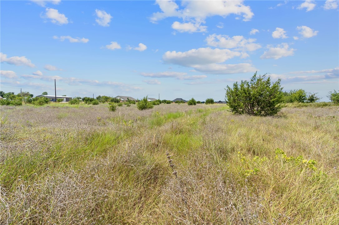 10400 Brewer Lane, Salado, Texas image 10