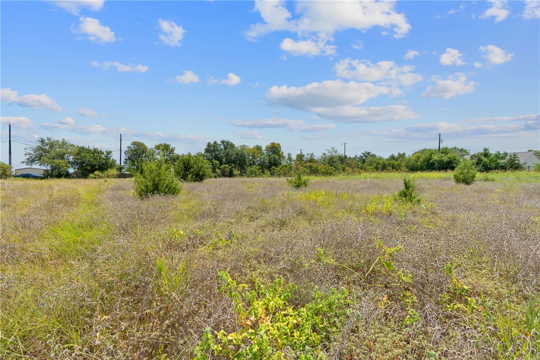 10400 Brewer Lane, Salado, Texas image 11