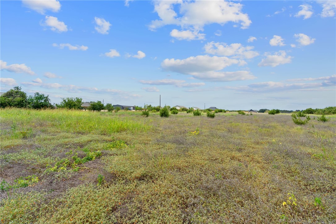 10400 Brewer Lane, Salado, Texas image 12