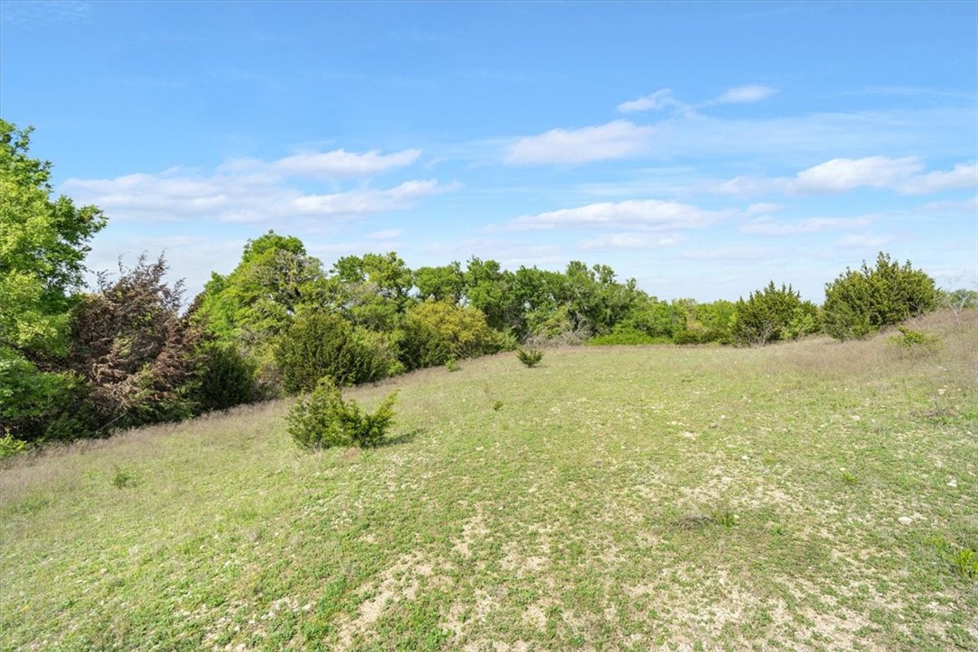 TBD 252.78 Acres Dan Morgan Road, China Spring, Texas image 17