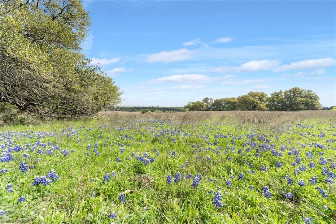 TBD 252.78 Acres Dan Morgan Road, China Spring, Texas image 14