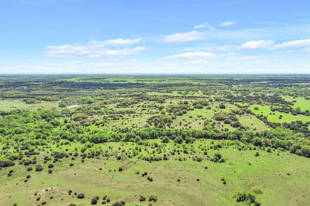 TBD 252.78 Acres Dan Morgan Road, China Spring, Texas image 8