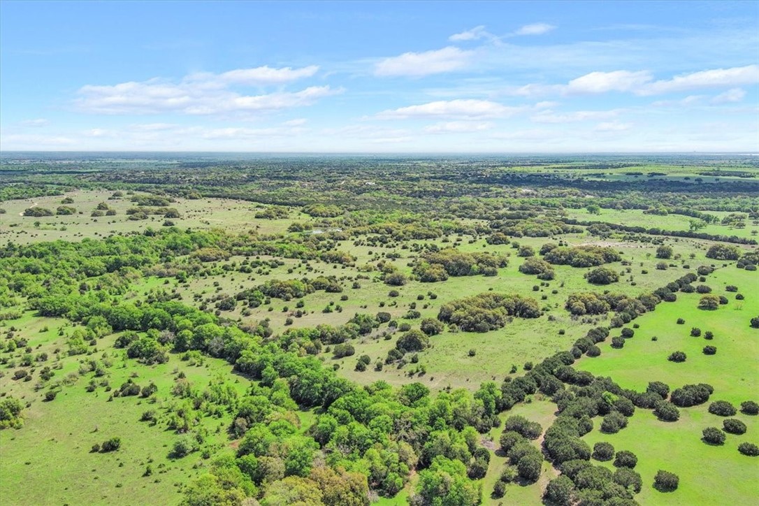 TBD 252.78 Acres Dan Morgan Road, China Spring, Texas image 9