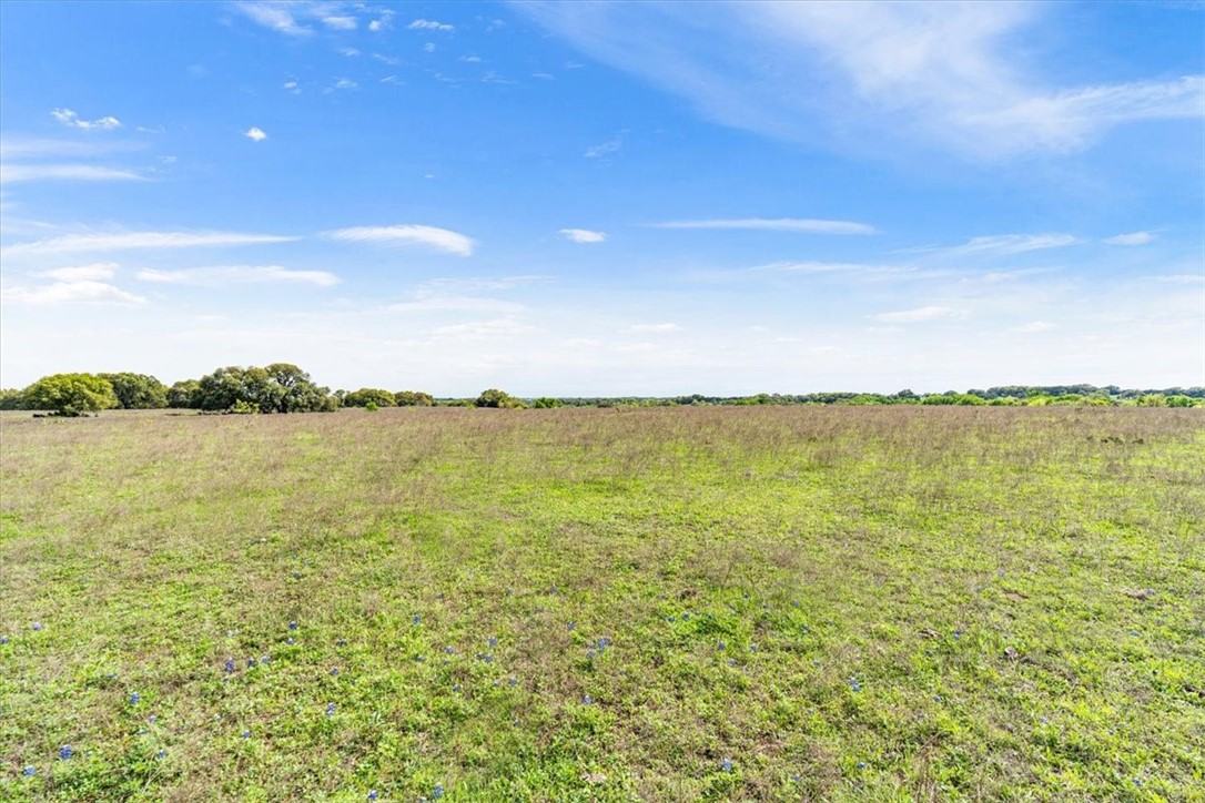 TBD 252.78 Acres Dan Morgan Road, China Spring, Texas image 30